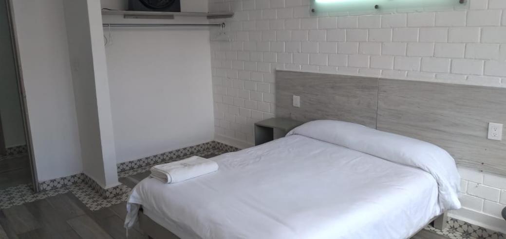 Hotel Insurgentes San Luis Potosi Ngoại thất bức ảnh