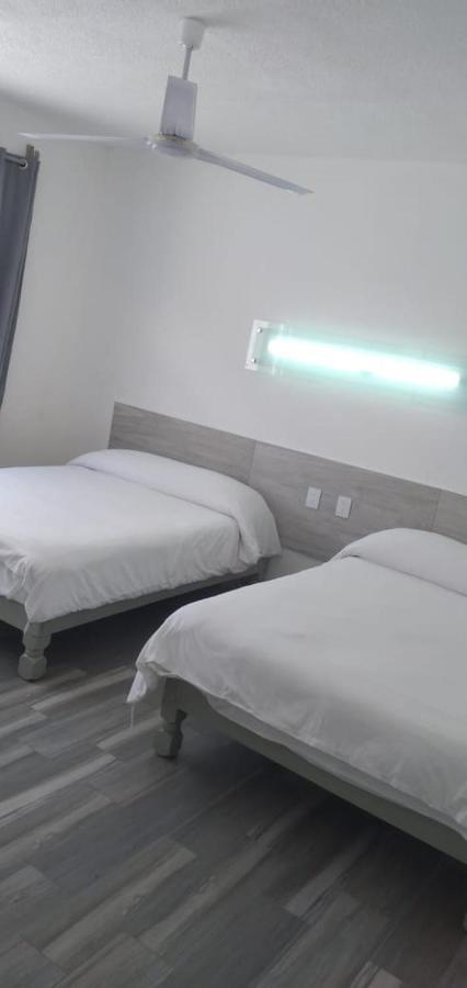 Hotel Insurgentes San Luis Potosi Ngoại thất bức ảnh